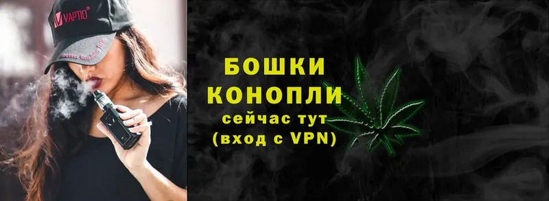 как найти наркотики  Шуя  Бошки Шишки THC 21% 